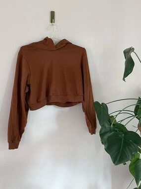 Cropped Hooded Alo Sweatshirt - Brown